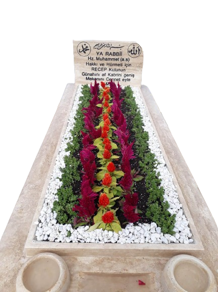 Hakkımızda